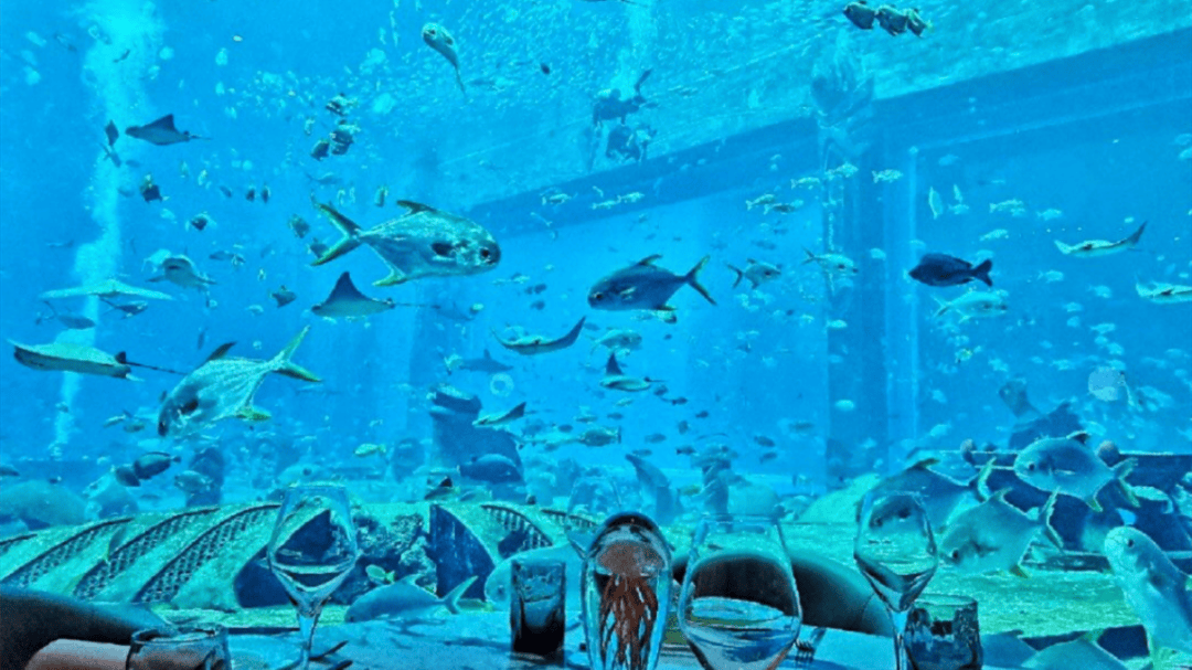 道：72个情绪价值营造标杆案例开元棋牌网站旅游餐饮场景破局之(图53)